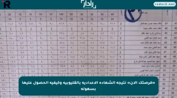 «فرصتك الآن» نتيجة الشهادة الإعدادية بالقليوبية وكيفية الحصول عليها بسهولة